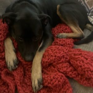 Meet your Posher, Aimee